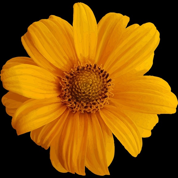 Meet your Posher, Leigh - Picture 1 of 1